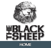Black Sheep Niantic